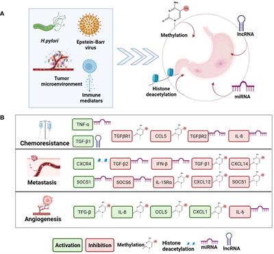 Epigenetic modulation of cytokine expression in gastric cancer: influence on angiogenesis, metastasis and chemoresistance